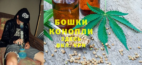 сатива Алексин