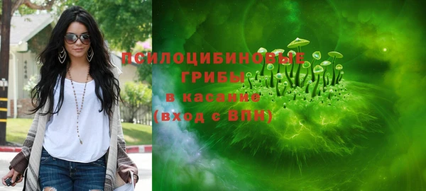 ешки Алексеевка