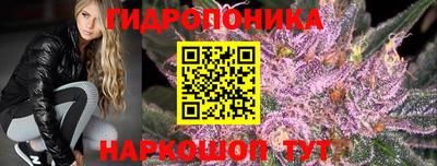 гидра Кулебаки
