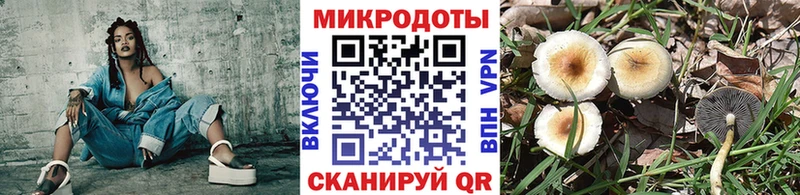 Псилоцибиновые грибы GOLDEN TEACHER  Ефремов 