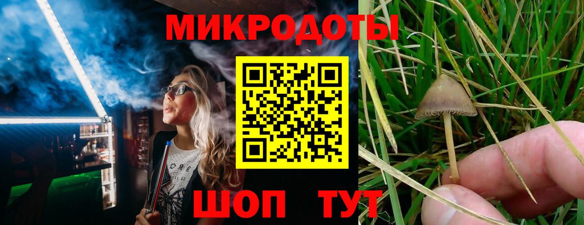Галлюциногенные грибы Psilocybe  где купить наркоту  Галлюциногенные грибы Psilocybine cubensis  Ефремов  Вход с VPN 