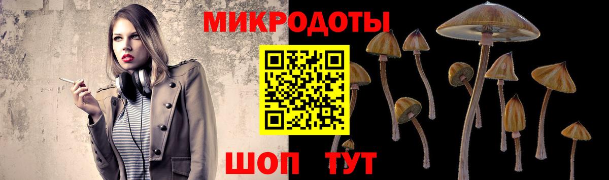Псилоцибиновые грибы мицелий Ефремов
